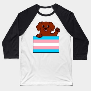 Love is Love Puppy - Red Trans Pride Flag Baseball T-Shirt